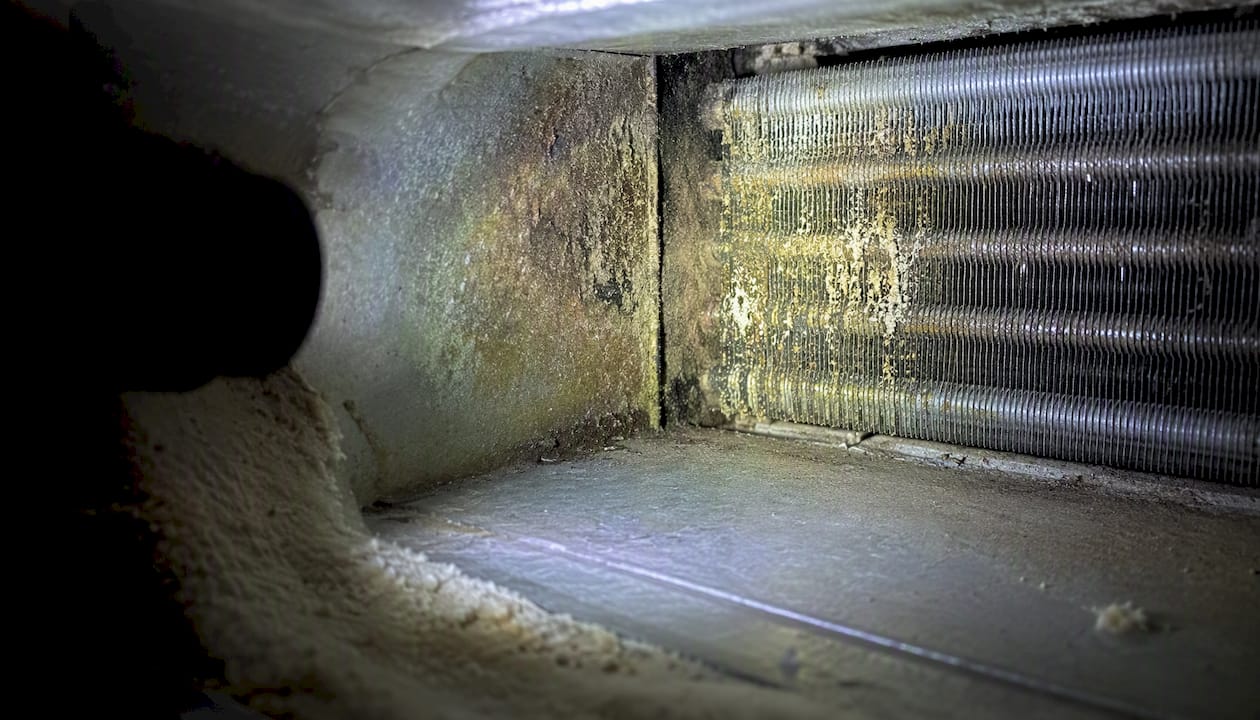 Microbial growth inside HVAC duct interior