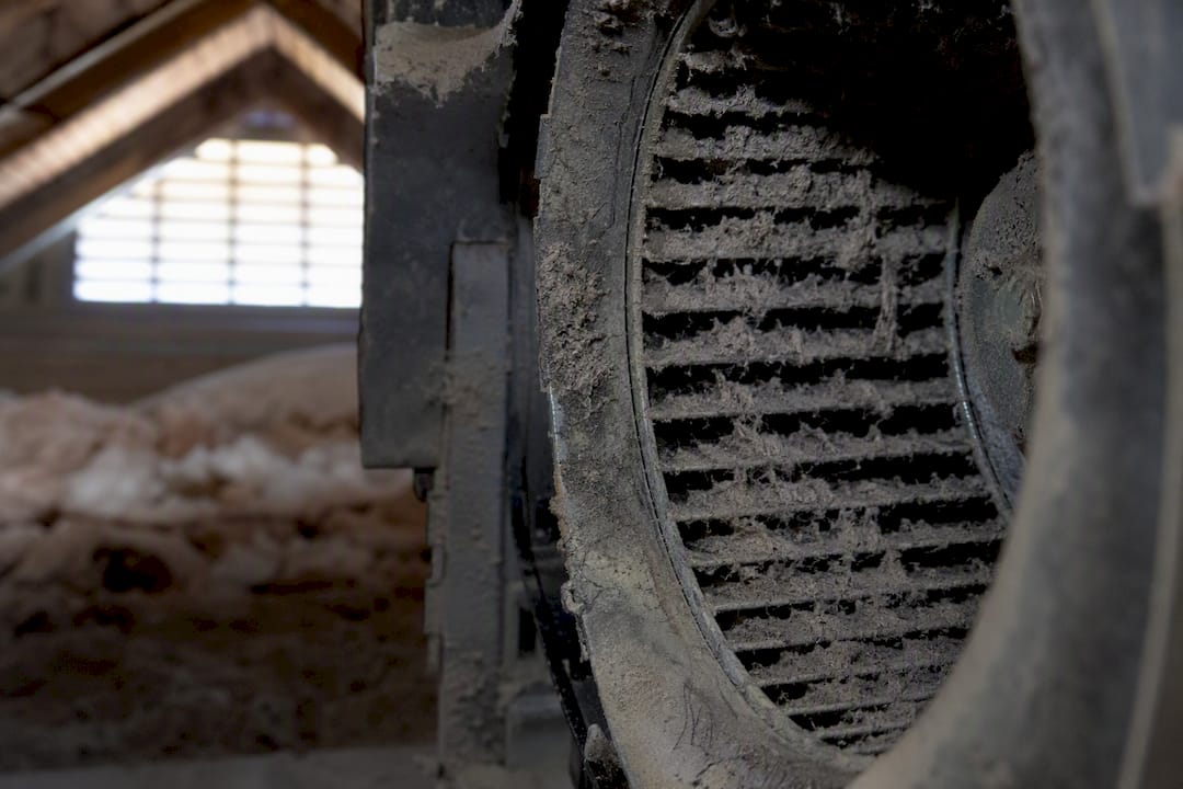 Dust-coated HVAC blower wheel close-up